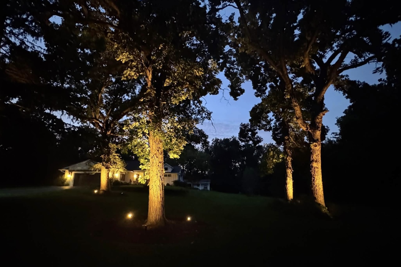 Permanent Lighting project photo